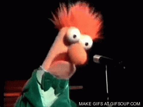 beaker gif|sesame street beeker pics.